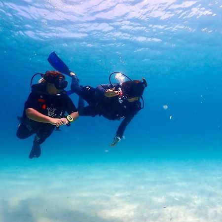 The Dearly Koh Tao Hostel-Padi 5 Star Dive Resort Bagian luar foto