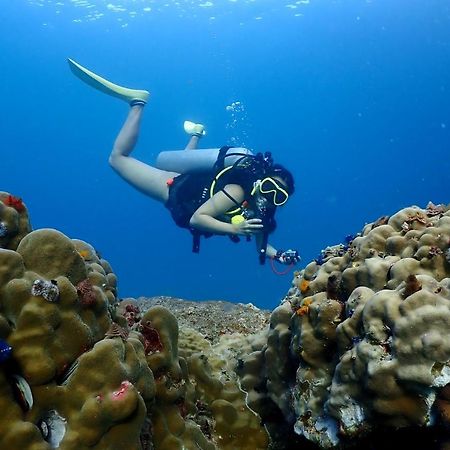 The Dearly Koh Tao Hostel-Padi 5 Star Dive Resort Bagian luar foto