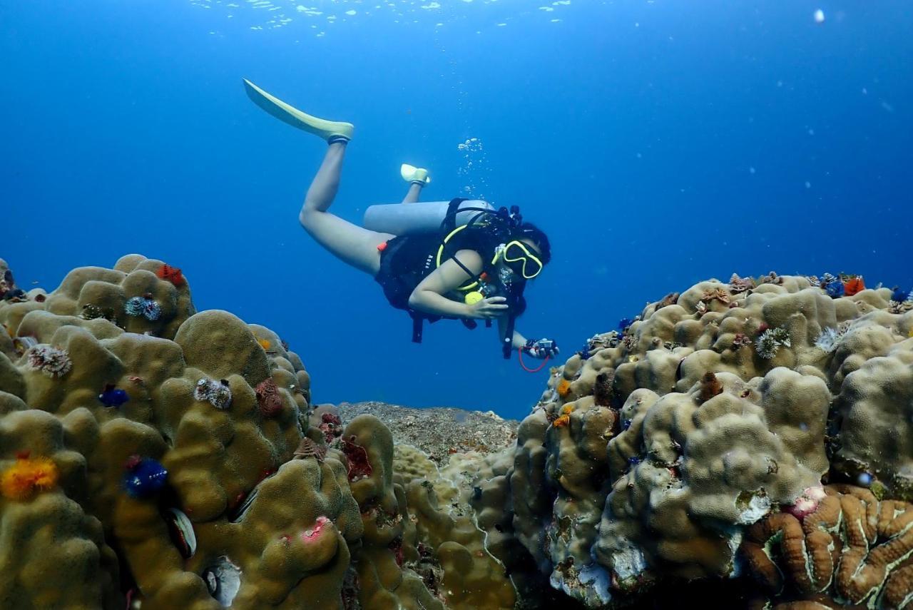 The Dearly Koh Tao Hostel-Padi 5 Star Dive Resort Bagian luar foto