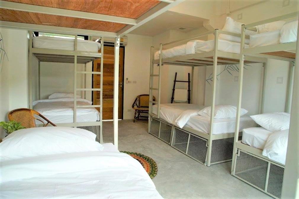 The Dearly Koh Tao Hostel-Padi 5 Star Dive Resort Bagian luar foto